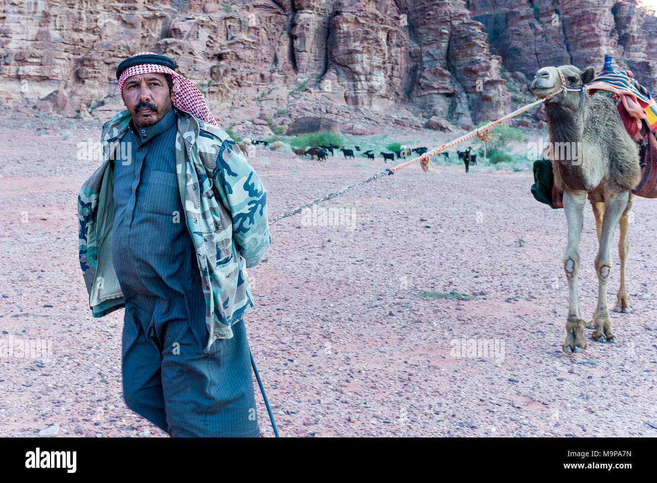 Marcher avec bédouin chameau dans le Wadi Rum, la vallée de la lune, est une vallée creusée dans le granit et grès rock dans le sud de la Jordanie. Banque D'Images