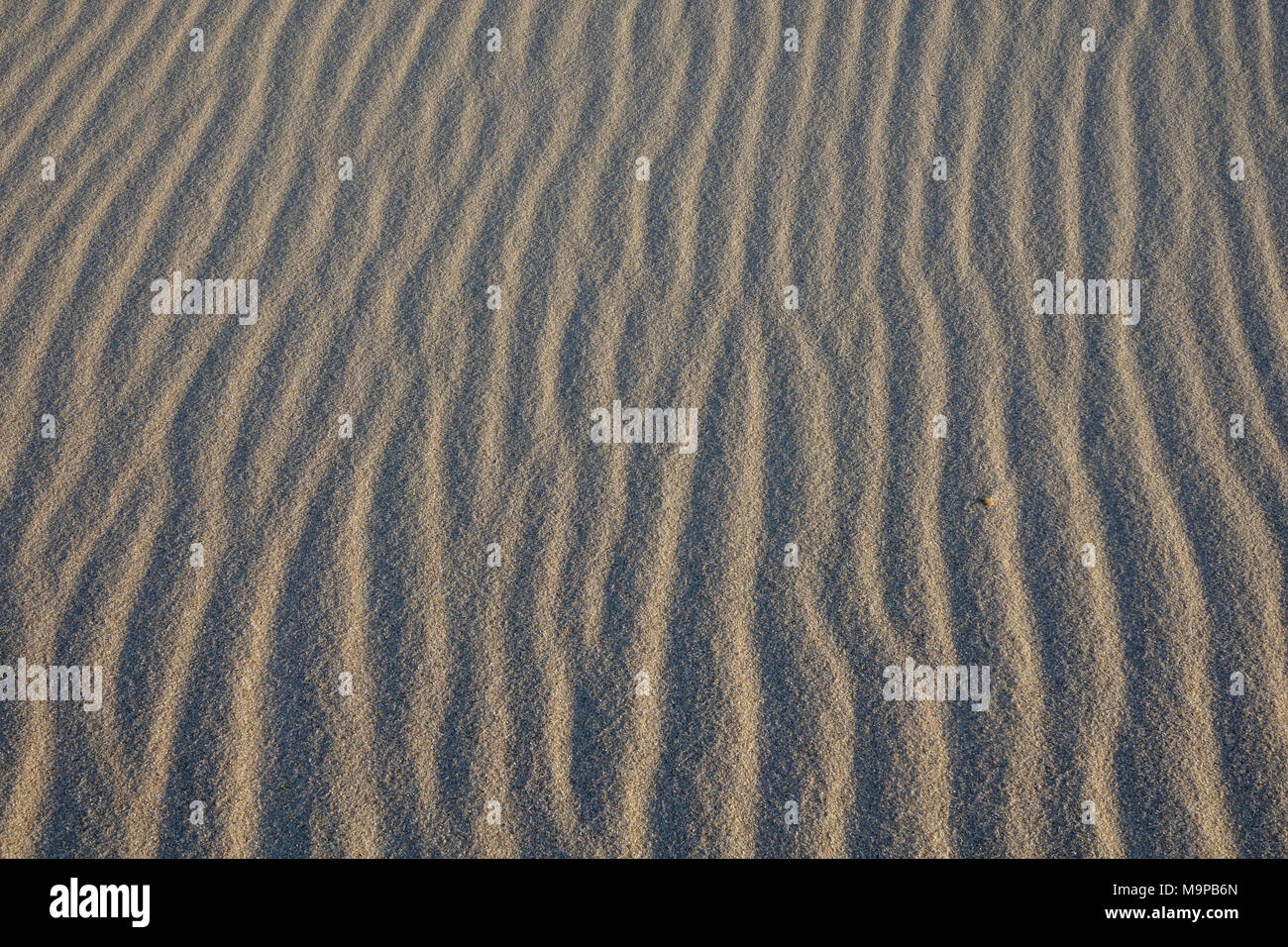 Rides de sable, structure de sable, vagues, Sylt, Nordfriesland, Schleswig-Holstein, Allemagne, image de fond Banque D'Images