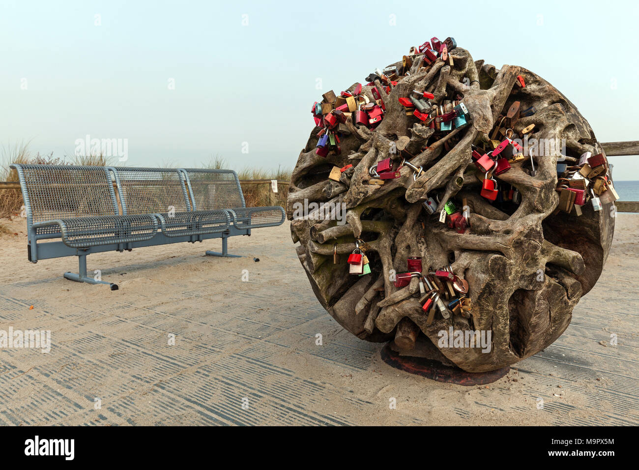 Racine de l'arbre rond avec amour, cadenas, Zingst Fischland-darss-Zingst, côte de la mer Baltique, Mecklembourg-Poméranie-Occidentale, Allemagne Banque D'Images