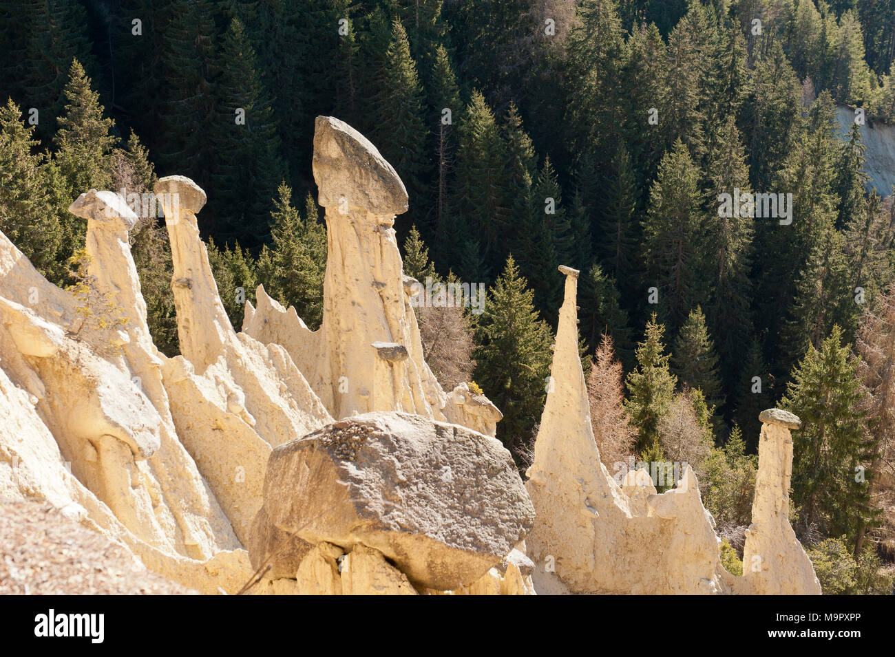 Monument naturel de cheminées de fées de Platten, Piramidi di terra di Plata, Oberwielenbach, Percha, Perca, Pustertal, le Tyrol du Sud Banque D'Images