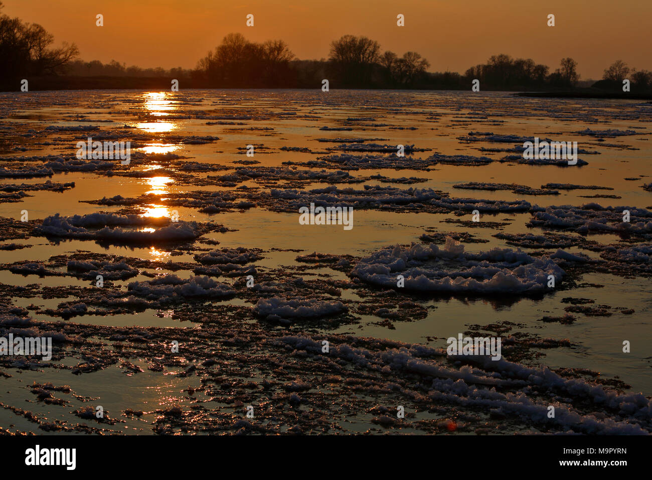Glace, les petites plaques de glace sur l'Elbe au coucher du soleil, au milieu de la Réserve de biosphère de l'Elbe, Dessau-RoDessau, Saxe-Anhalt, Allemagne Banque D'Images
