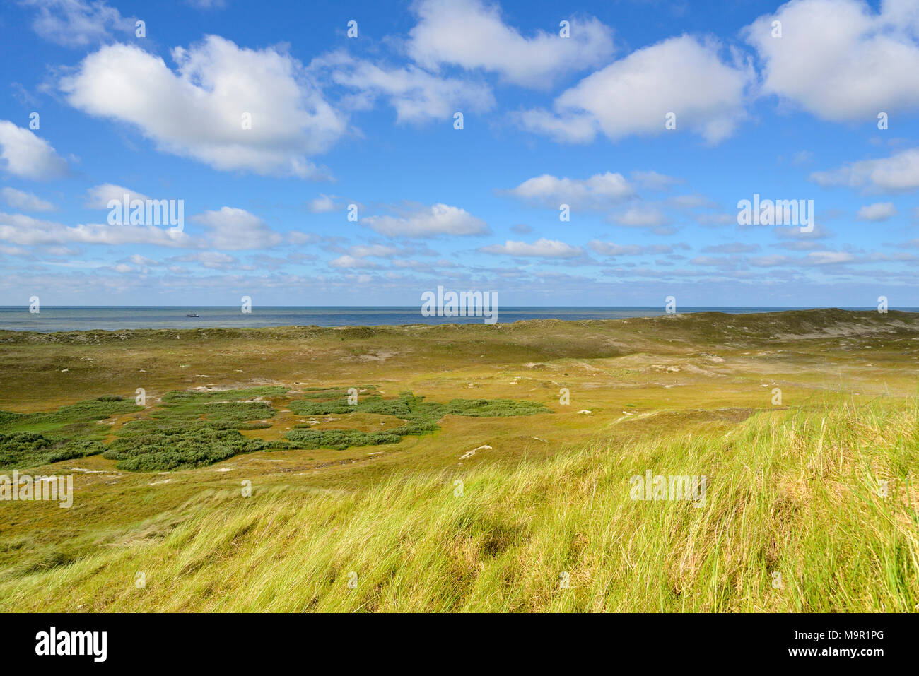 Paysage de dunes avec des nuages bleus, Norderney îles de Frise orientale, mer du Nord, Basse-Saxe, Allemagne Banque D'Images
