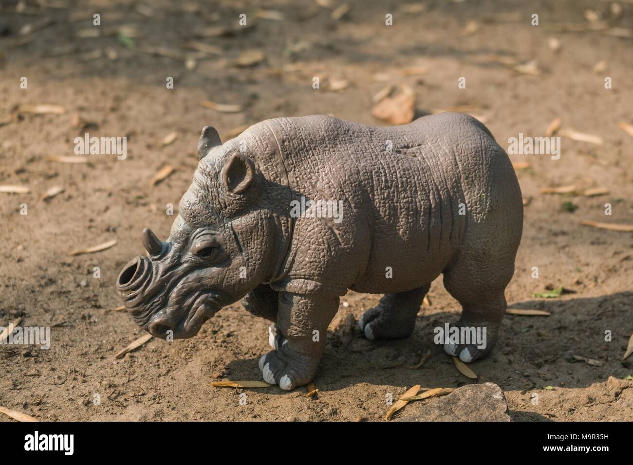 White Rhino jouet sans un klaxon sur un terrain naturel. Banque D'Images