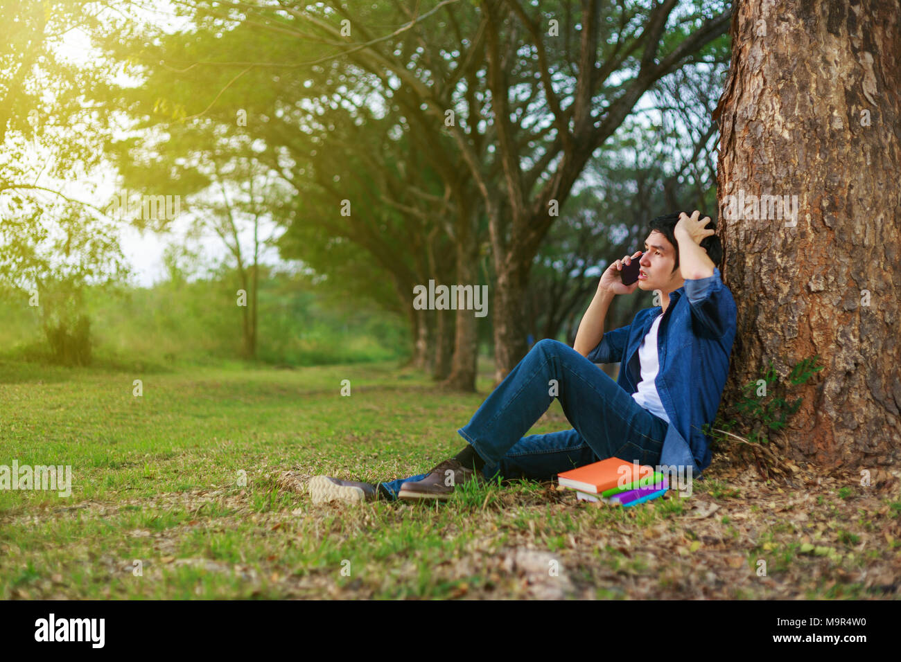 Jeune homme en situation de stress lorsque l'on parle sur téléphone mobile dans le parc Banque D'Images