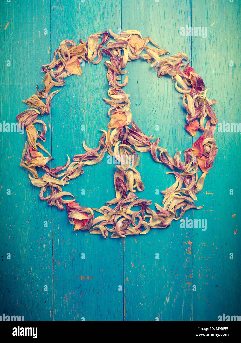 Signe de Paix de pétales de tulipes séchées sur un fond de bois rustique bleu Banque D'Images