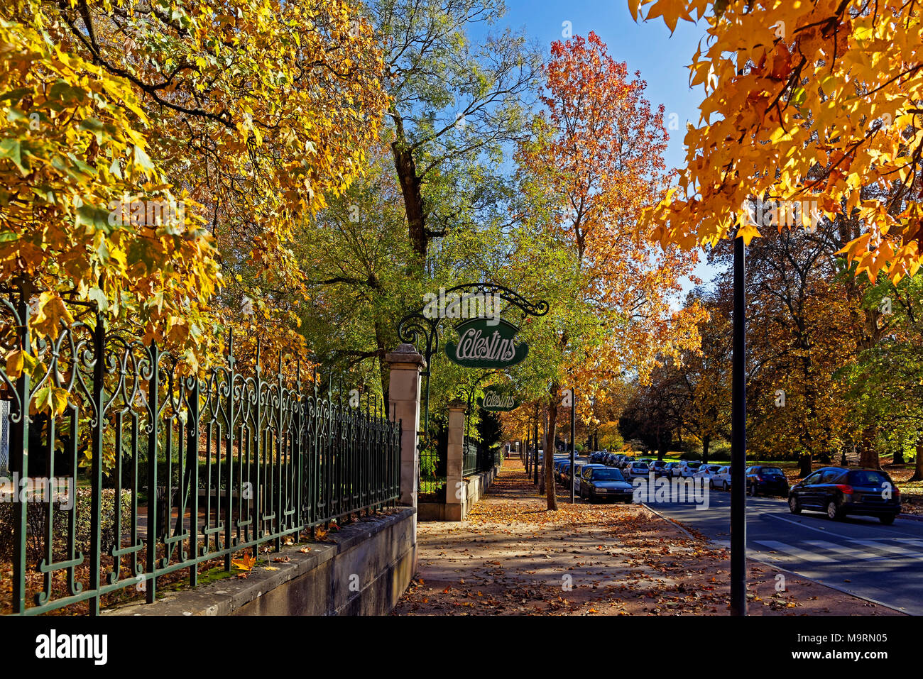 Europe, France, Auvergne, Vichy, boulevard vous Président John Fitzgerald Kennedy, le ressort, la source des Célestins, feuillage de l'automne, feuilles, brown, arch Banque D'Images