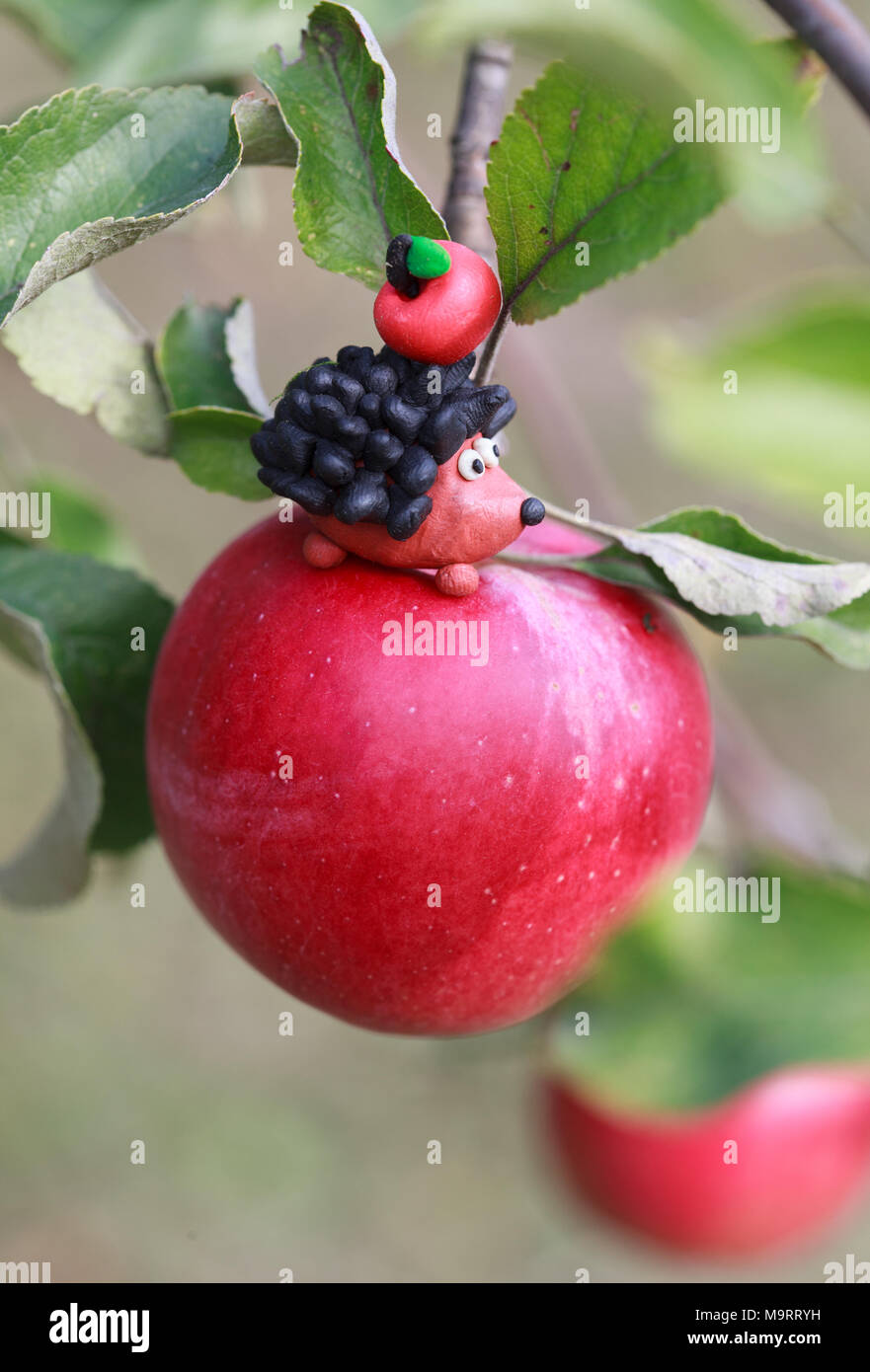 Monde de pâte à modeler - petit hérisson maison assis sur apple avec pomme rouge sur son dos, selective focus sur le hérisson, la place pour le texte Banque D'Images