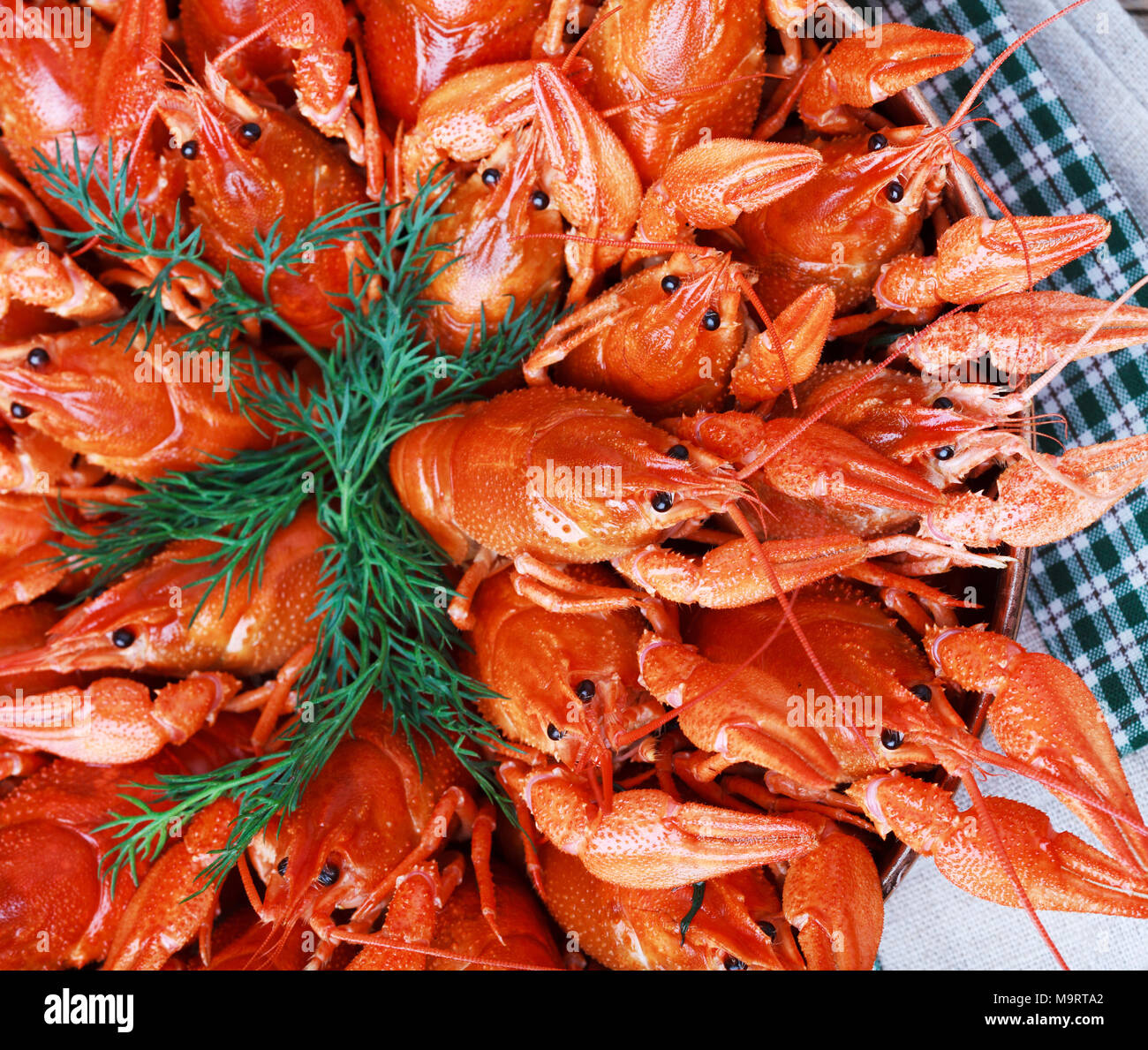 Bol à bouillie rouge langouste à une table en bois dans un style rustique, close-up, selective focus sur quelques écrevisses Banque D'Images