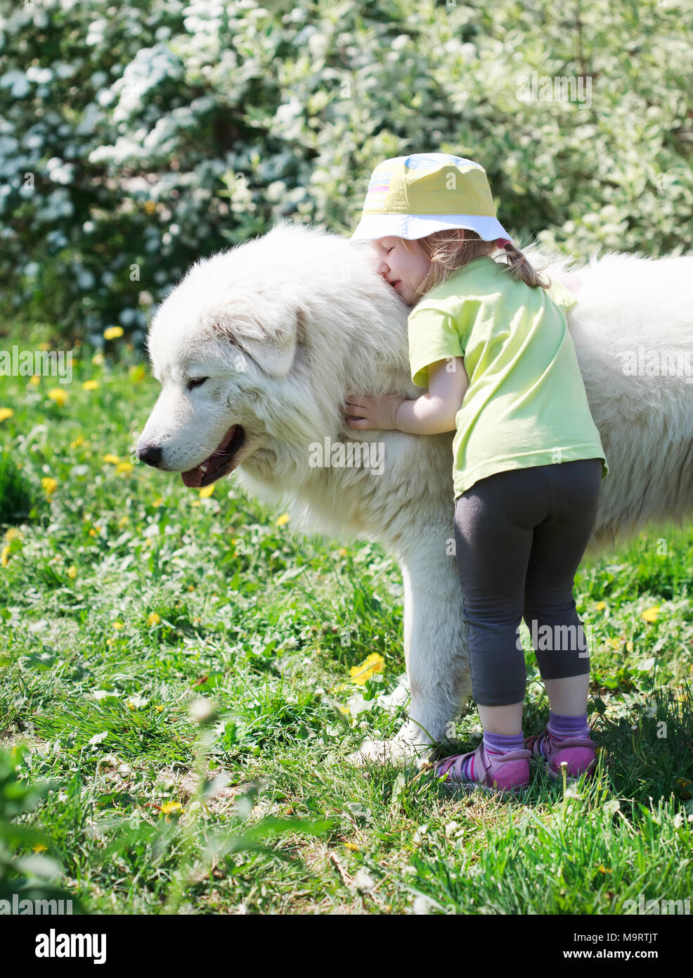Cute Little Girl Jouant Avec Son Gros Chien De Berger Blanc