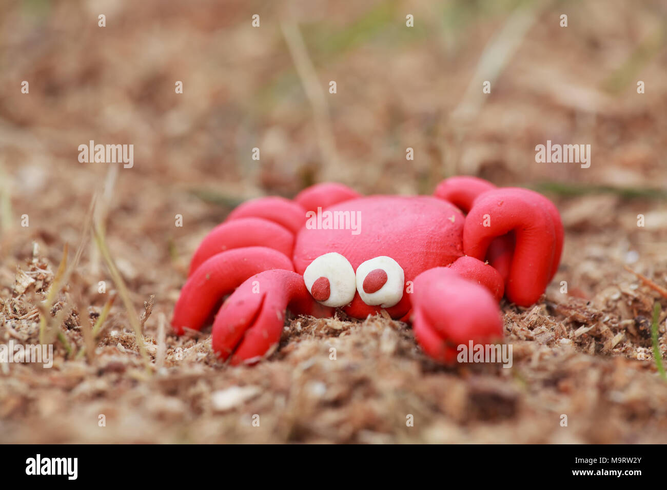 Monde - Pâte à modeler maison petit crabe rouge se trouve sur la sciure, imitant le sable, selective focus on head Banque D'Images