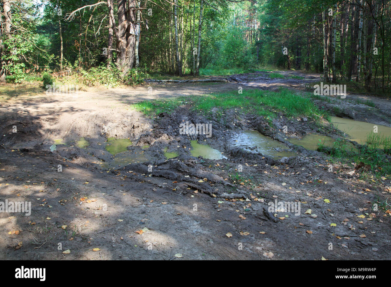 Route forestière de boue impraticable et l'argile, le tout-terrain Banque D'Images