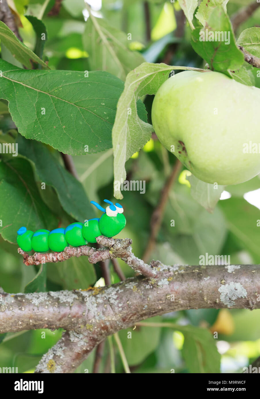 Monde - Pâte à modeler maison peu caterpillar vert est l'exploration de l'apple, selective focus on head Banque D'Images