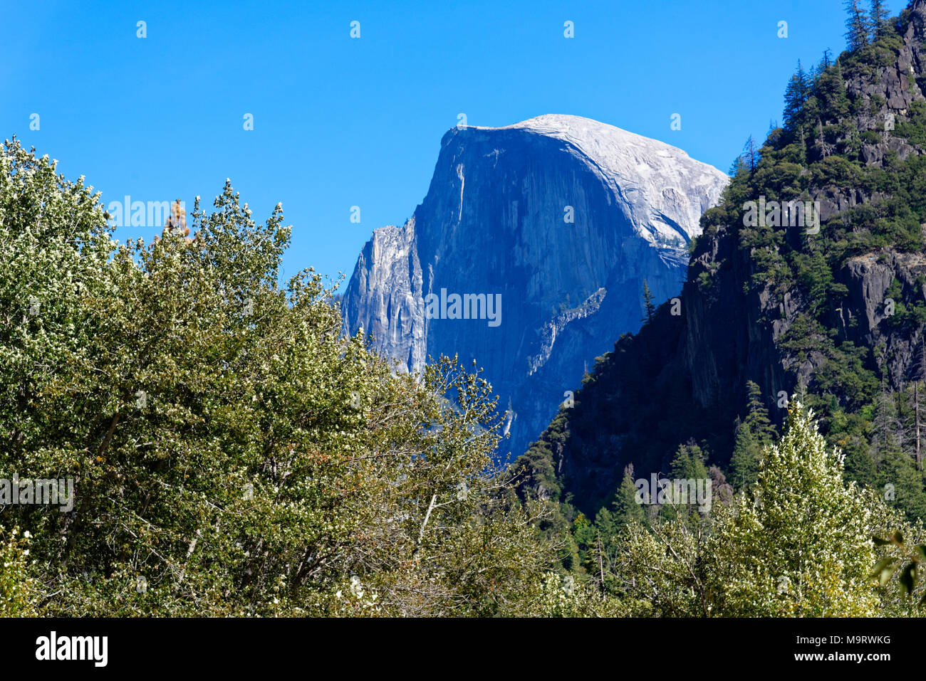 Demi Dôme, vu de la vallée Yosemite Banque D'Images
