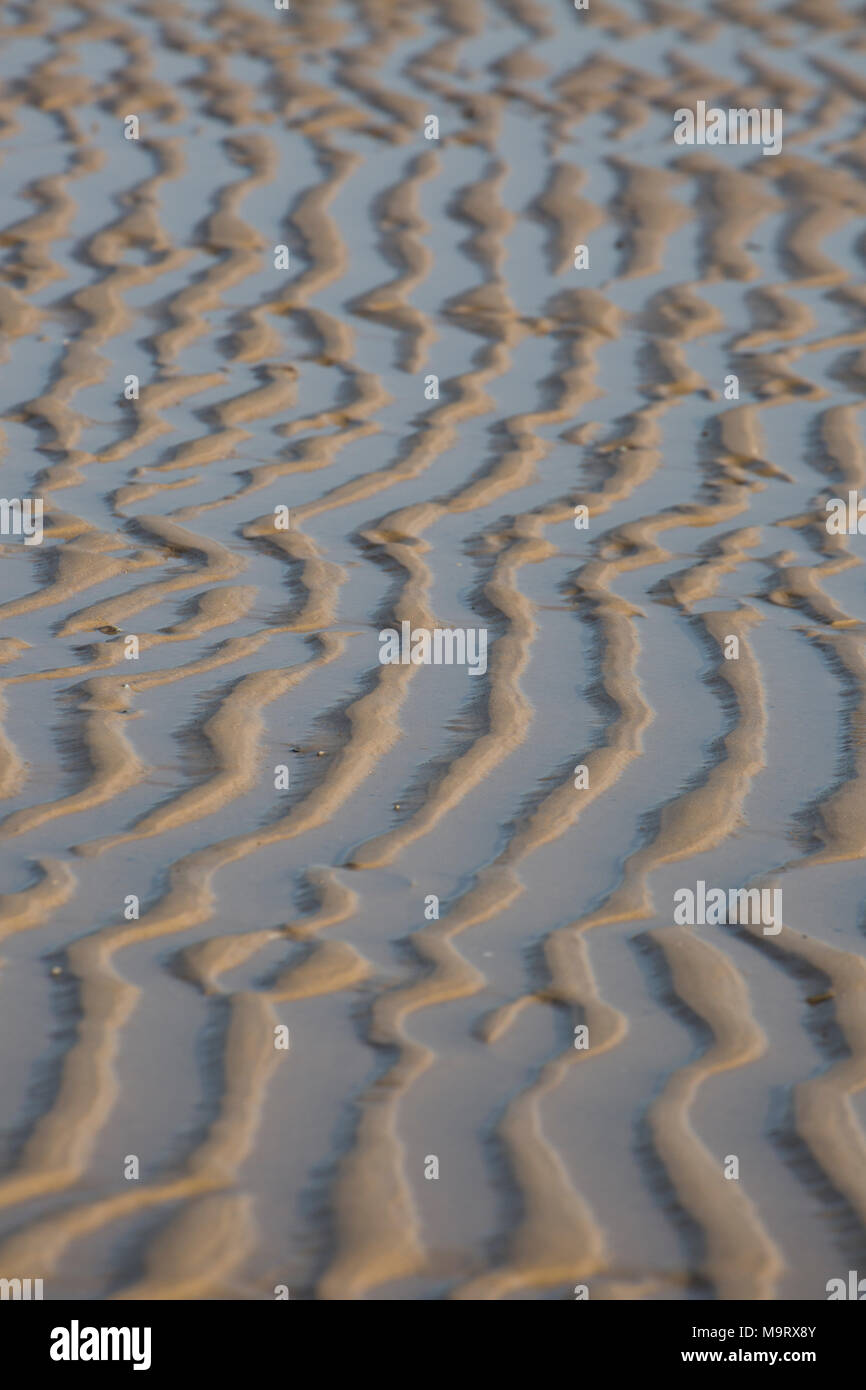 Les ondes à gauche de sable à marée basse, Dorset UK Banque D'Images