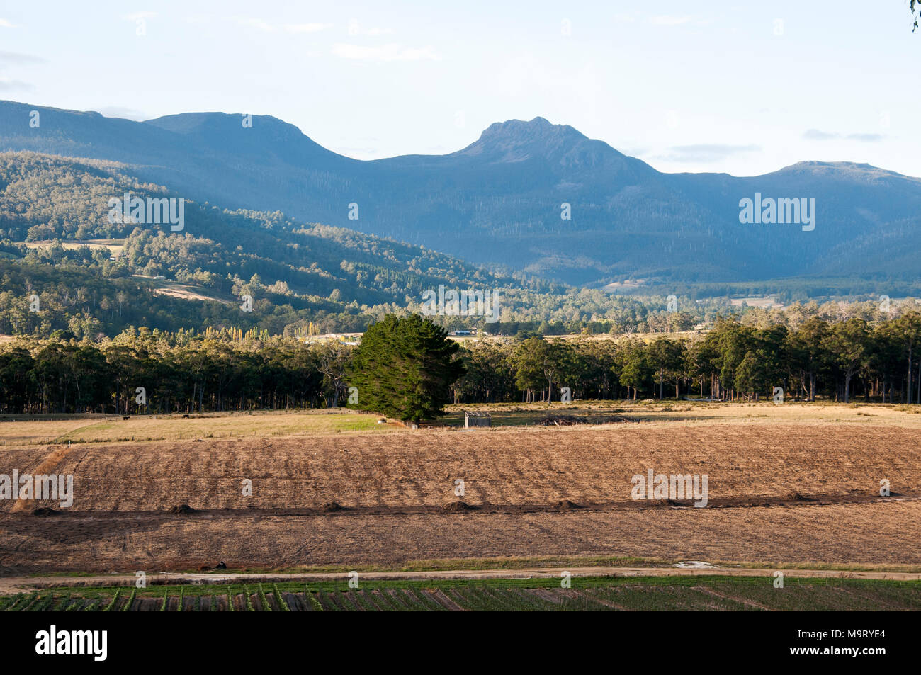 Paysage pastoral dans la vallée Huon, le sud de la Tasmanie, Australie Banque D'Images