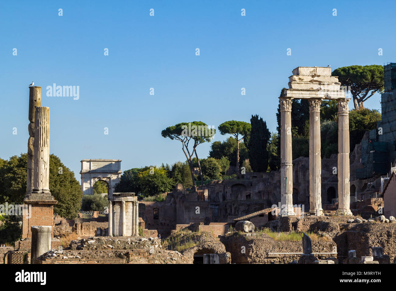 Ruïnes et colonnes dans le Forum romain de Rome, Italie. Banque D'Images