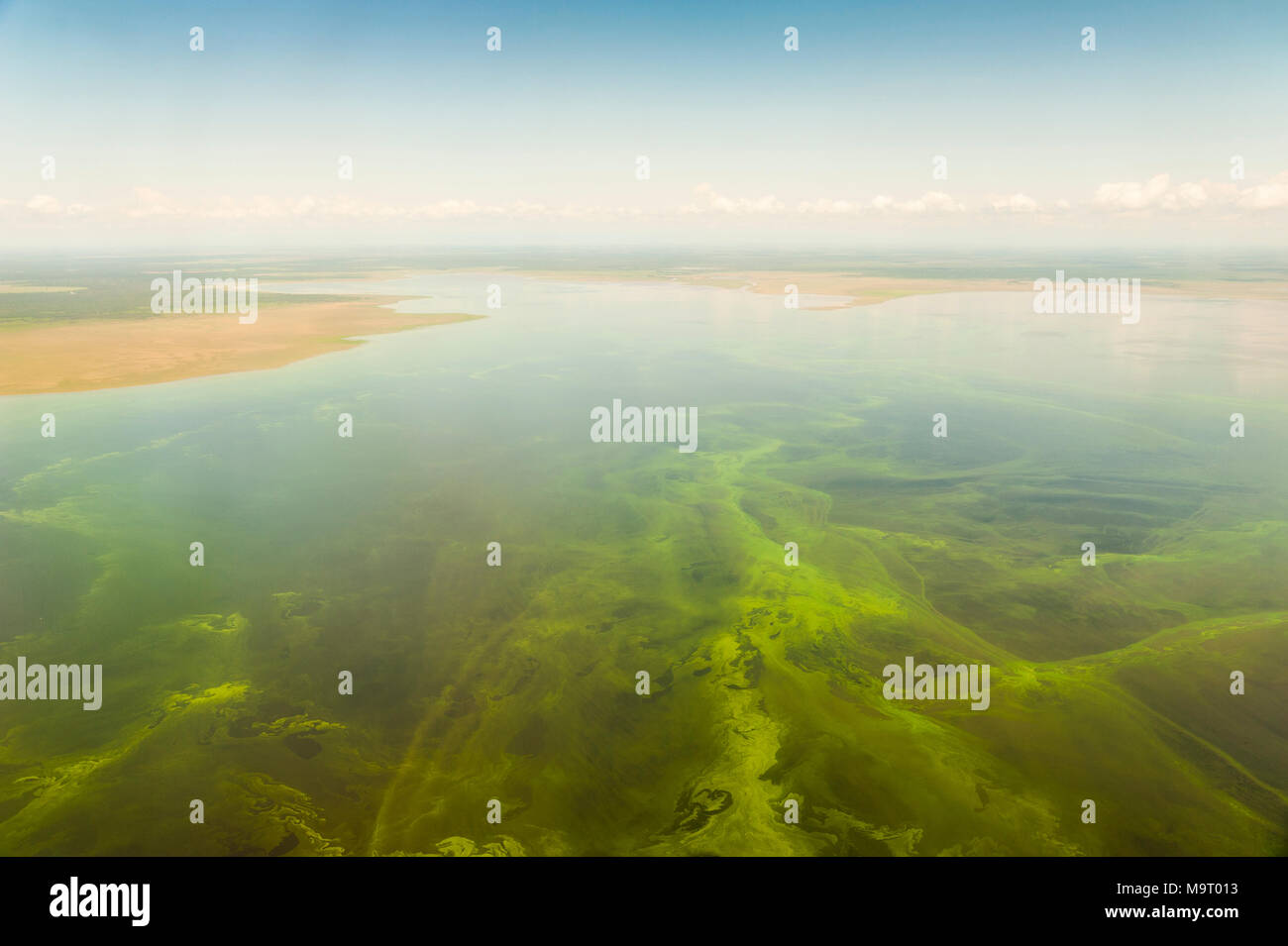 L'image aérienne d'algues bleues dans un lac de la province de Jujuy en Argentine Banque D'Images