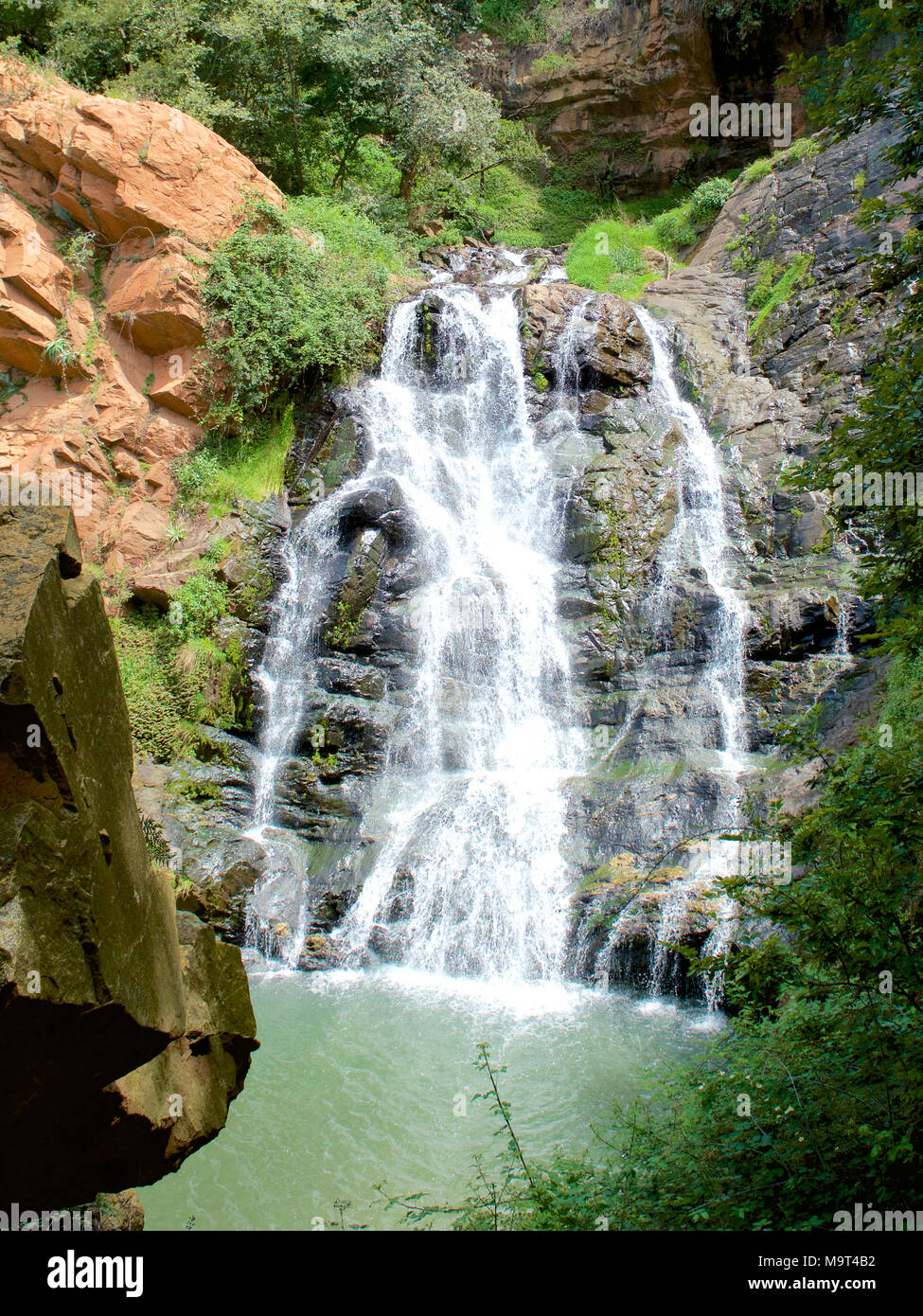 Witpoortjie Falls sur la rivière Crocodile, Walter Sisulu Gardens, Afrique du Sud Banque D'Images