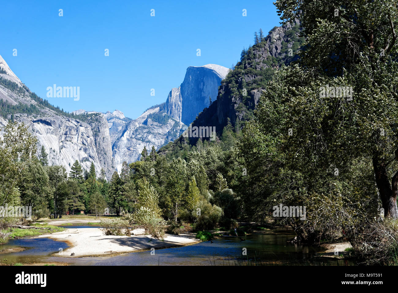 La Vallée Yosemite avec demi-dôme en arrière-plan Banque D'Images