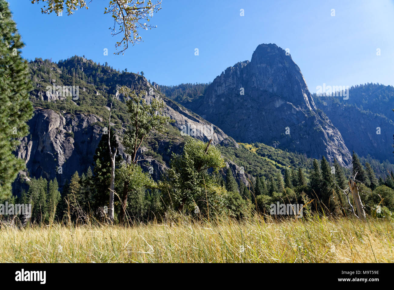 Dans les falaises de granit Yosemite National Park Banque D'Images