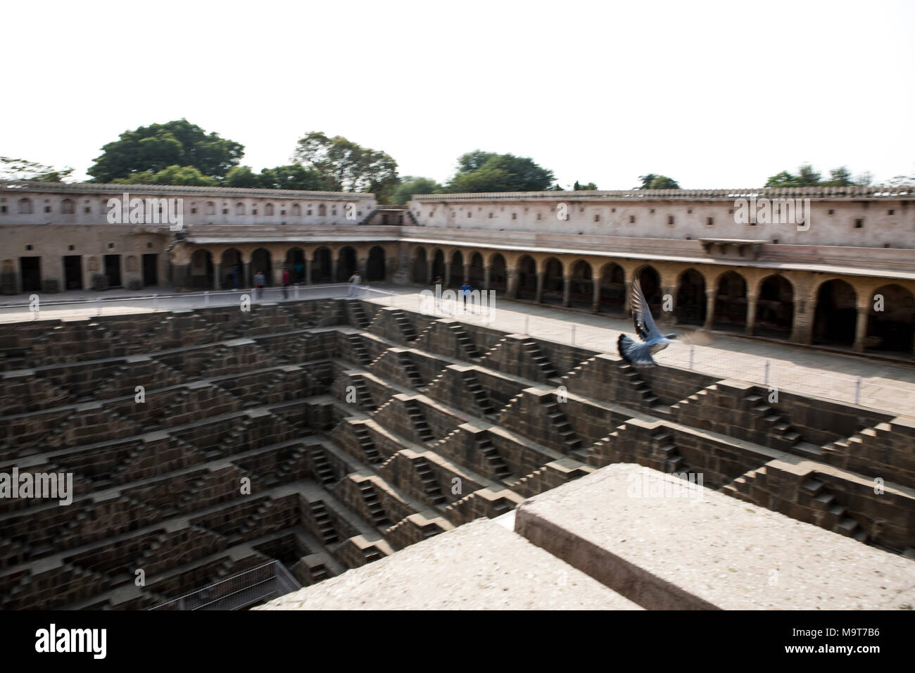 Chand Baori cage Dausa Banque D'Images
