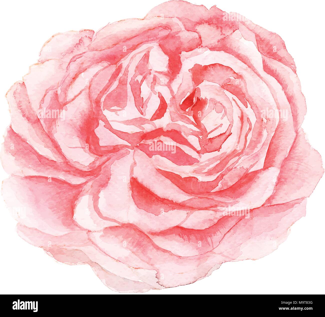 Peinture de fleur rose Banque de photographies et d'images à haute  résolution - Alamy
