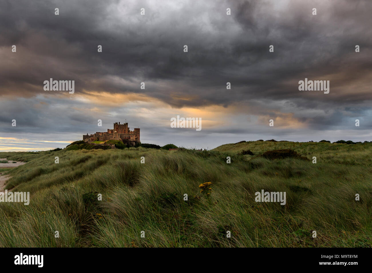 Château de Bamburgh lever du soleil sur la côte de Northumberland Banque D'Images