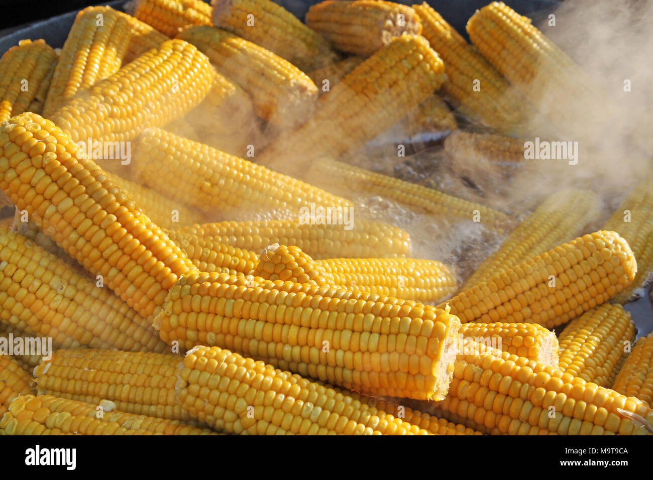 Le maïs bouilli à la vente à un marché de près. Banque D'Images