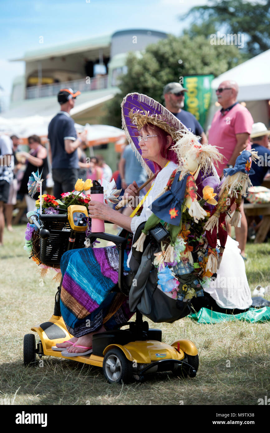 Le Cornbury Music Festival 2017 - Sonja Johannesen de Wiltshire qui est un bénévole au festival steward Banque D'Images