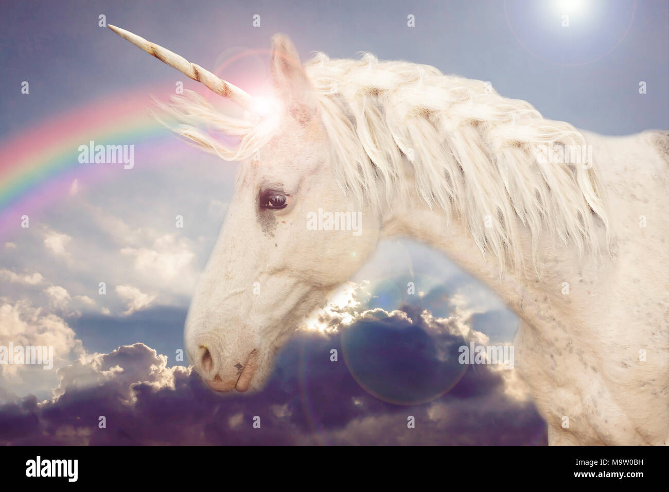 Dans La Licorne Arc En Ciel Photo Stock Alamy