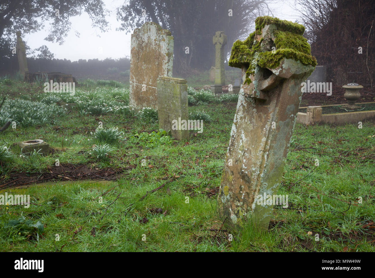 Un matin brumeux parmi les pierres tombales dans un cimetière, l'église All Saints, Holdenby, Northamptonshire, Angleterre. Banque D'Images