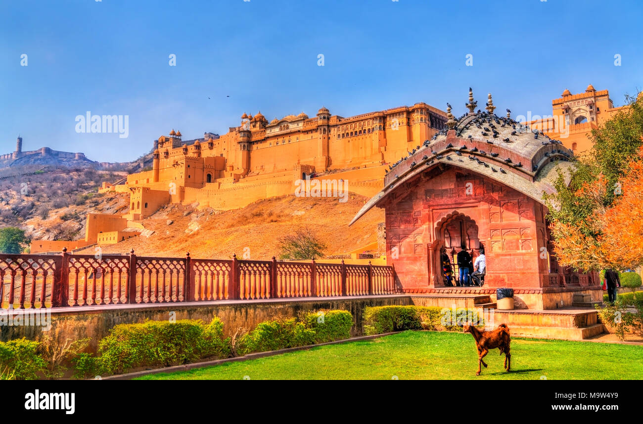 Vue de Fort Amer de son jardin. Une attraction touristique à Jaipur - Rajasthan de l'Inde Banque D'Images