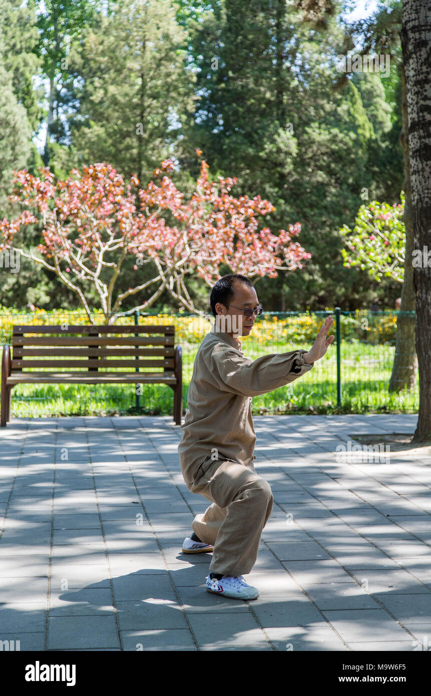 Un homme chinois portant un costume traditionnel d'arts martiaux pratique le Tai Chi dans le parc de Tiantan, près du Temple du ciel, Beijing, Chine Banque D'Images