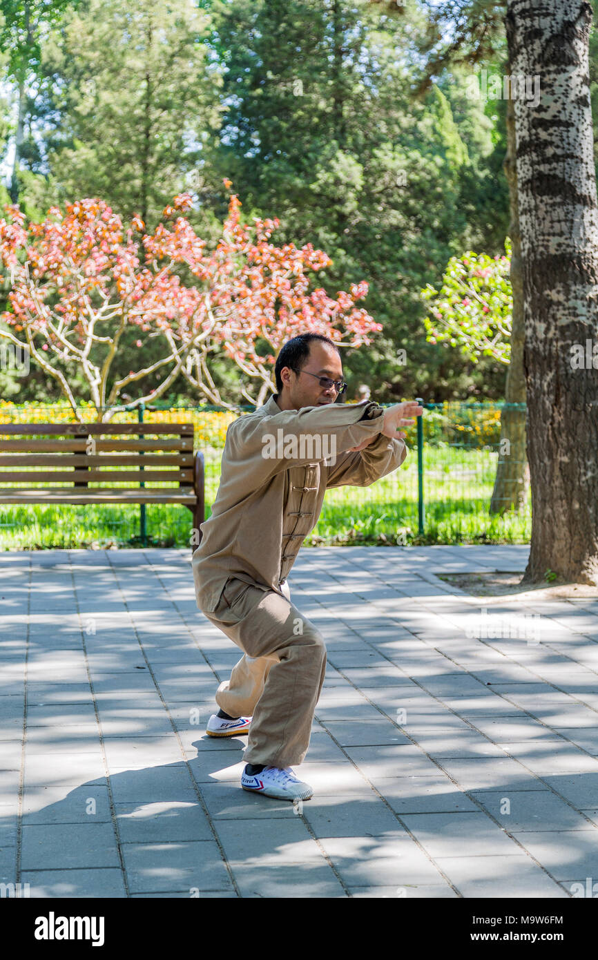 Un homme chinois portant un costume traditionnel d'arts martiaux pratique le Tai Chi dans le parc de Tiantan, près du Temple du ciel, Beijing, Chine Banque D'Images