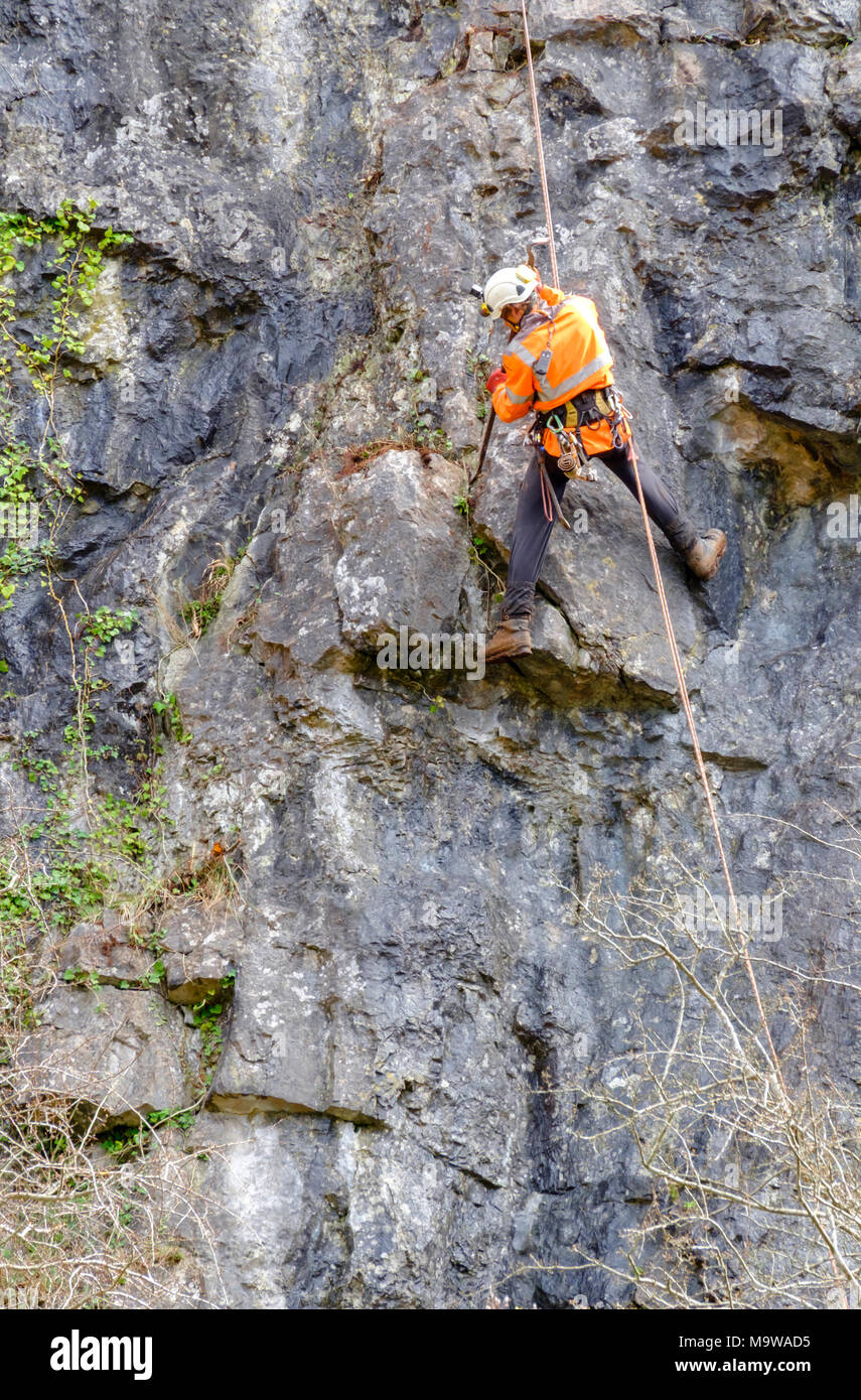 Technicien de corde Rope Access Vector inspecte les gorges de Cheddar. Banque D'Images