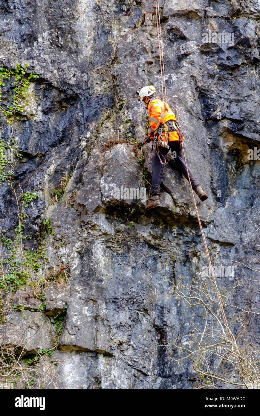 Technicien de corde Rope Access Vector inspecte les gorges de Cheddar. Banque D'Images