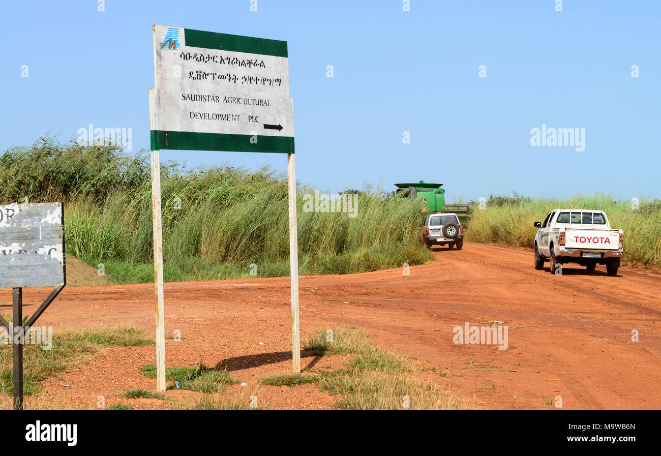 L'ÉTHIOPIE, Gambela, Abobo, le gouvernement donne de grandes terres à bail bon marché pour les investisseurs canadiens et étrangers, après déforestation les investisseurs cultiver les terres agricoles Grandes cultures avec de la nourriture pour l'exportation, les populations locales sont souvent réglés en vertu de la villagisation programmes, moissonneuse-batteuse John Deere Harvester d'Arabie Star Développement agricole PLC est décalée sur route étroite pour la récolte de riz , Arabie Star administré par Saudi-Ethiopian billionaire Sheikh Mohamed al-Amoudi a une rizière d'environ 10.000 hectares le long de la rivière Alwero Banque D'Images