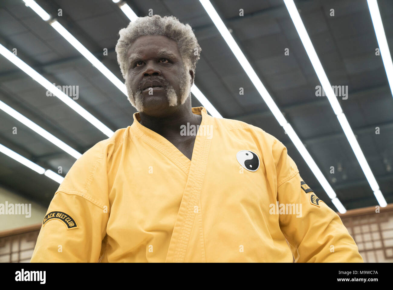 DATE DE SORTIE : Juin 29, 2018 Title : oncle a appelé STUDIO : Divertissement Sommet Réalisateur : Charles Stone III Résumé : Après la purge ses économies à une équipe à l'Rucker Classic street ball tournoi dans Harlem, Dax (Lil Rel Howery) est traité une série de revers malheureux, y compris la perte de son équipe à son rival de longue date (Nick Kroll). Avec : Shaquille O Neal que Big Fella. (Crédit Image : © Summit Entertainment/photos) Banque D'Images