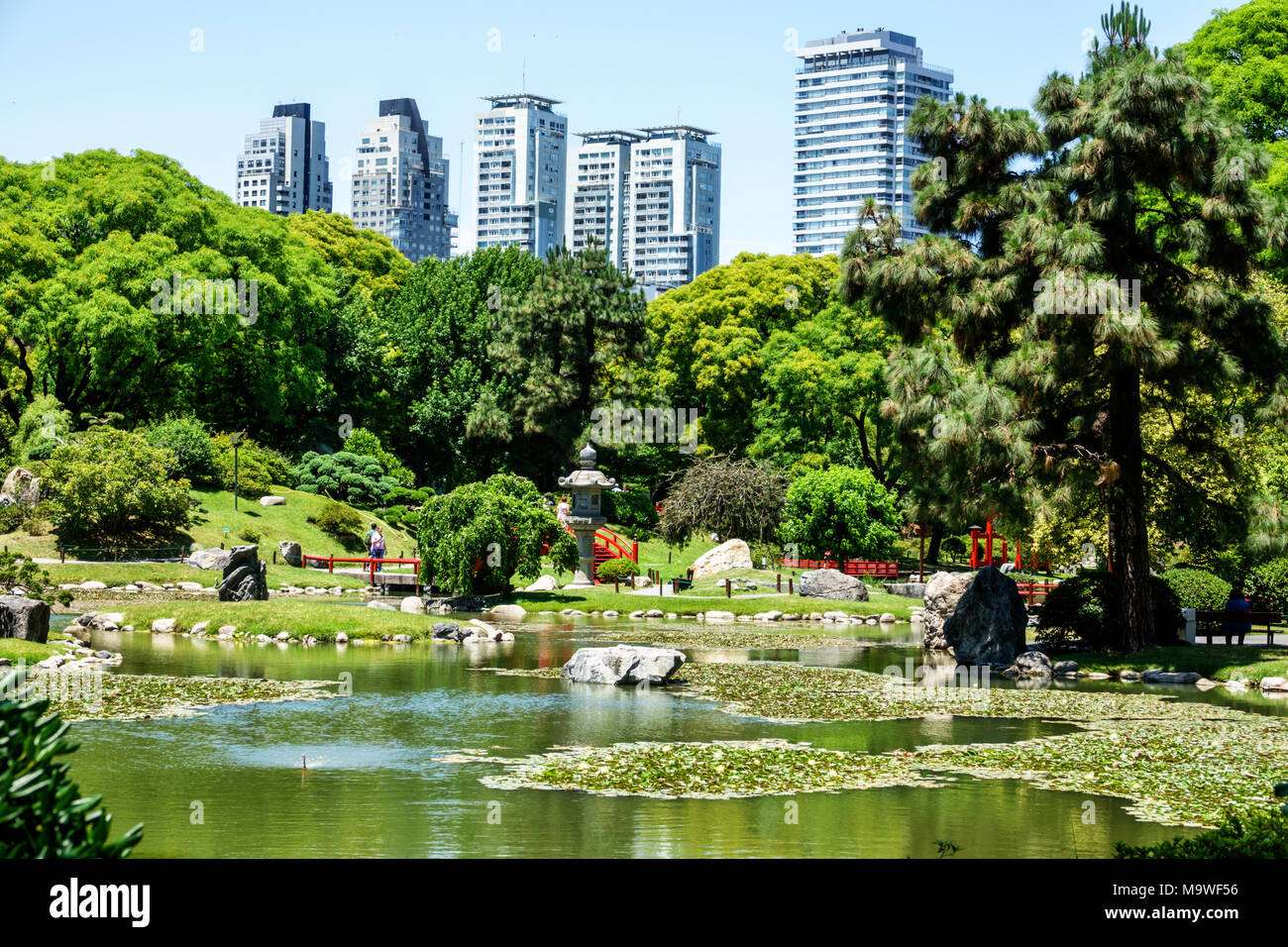 Buenos Aires Argentina,Recoleta,Japanese Garden jardin Japones,botanique,carpe lac,arbres,horizon,hispanique,ARG171130105 Banque D'Images