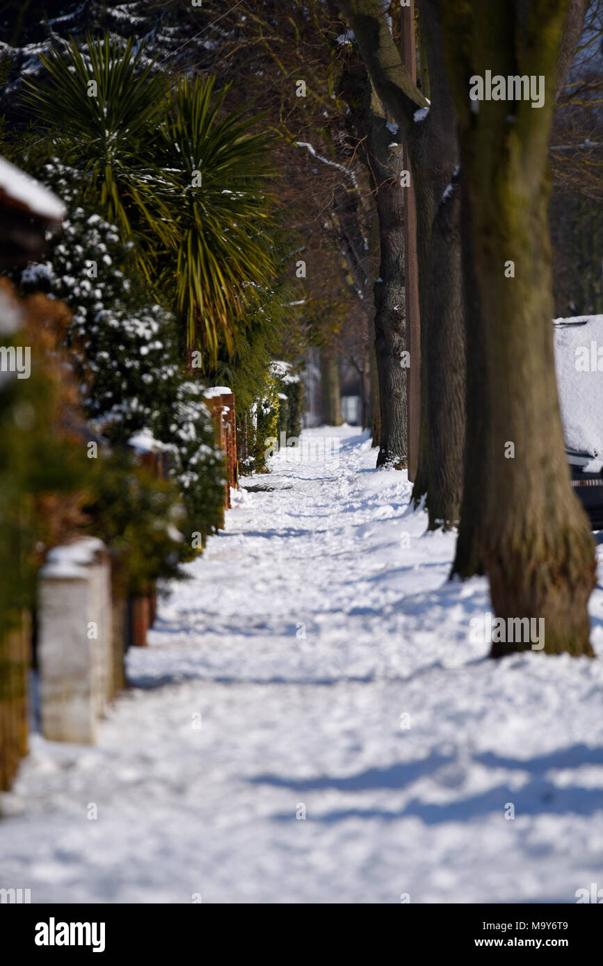 La chaussée couverte de neige avec l'avenue bordée d'après la bête de l'Est phénomène météo Banque D'Images