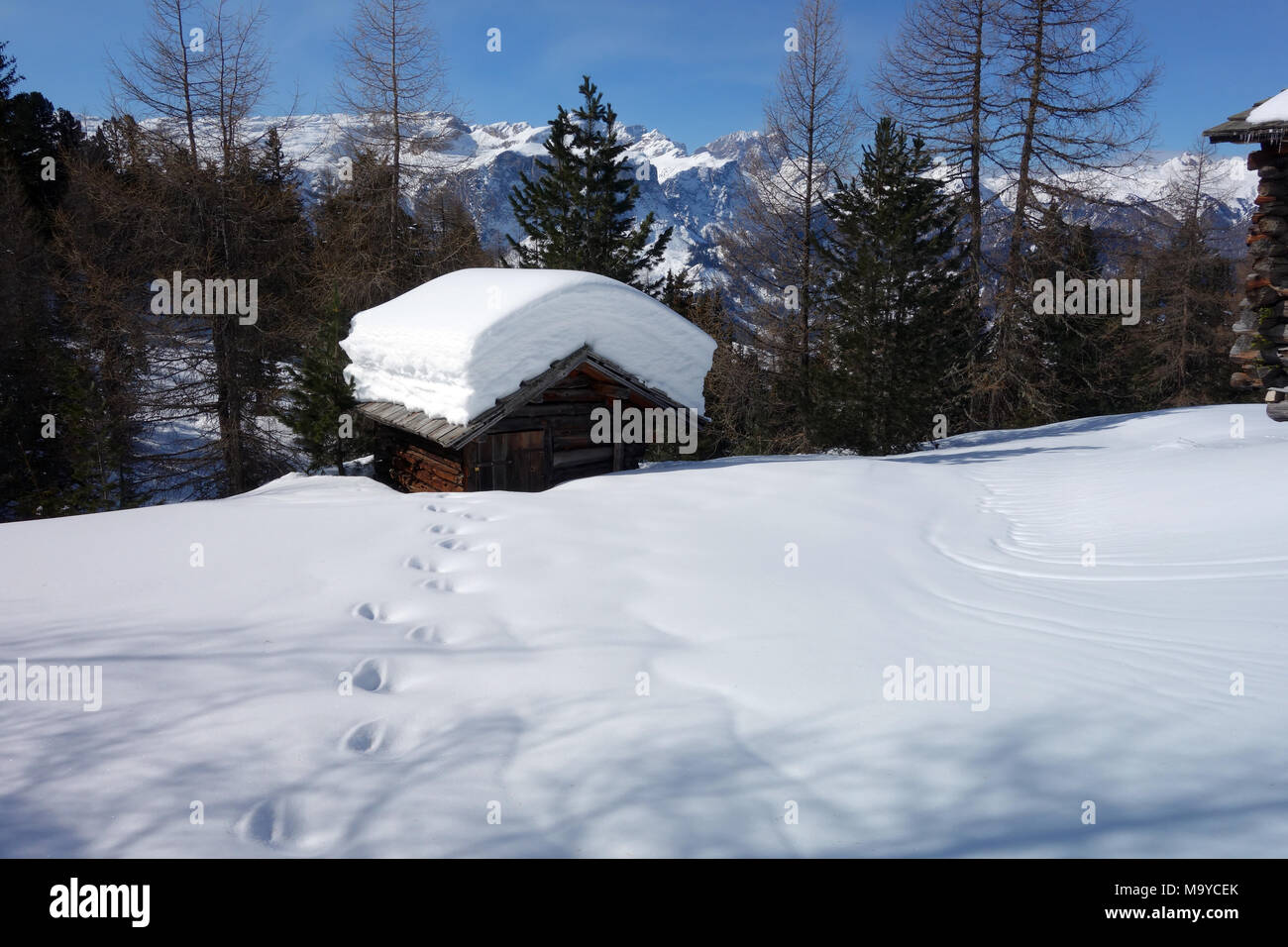 Des traces de pas dans la neige profonde menant à Grange traditionnelle des Alpes dans les champs au-dessus de Badia, Italie, Dolomites italiennes, de l'Union européenne. Banque D'Images