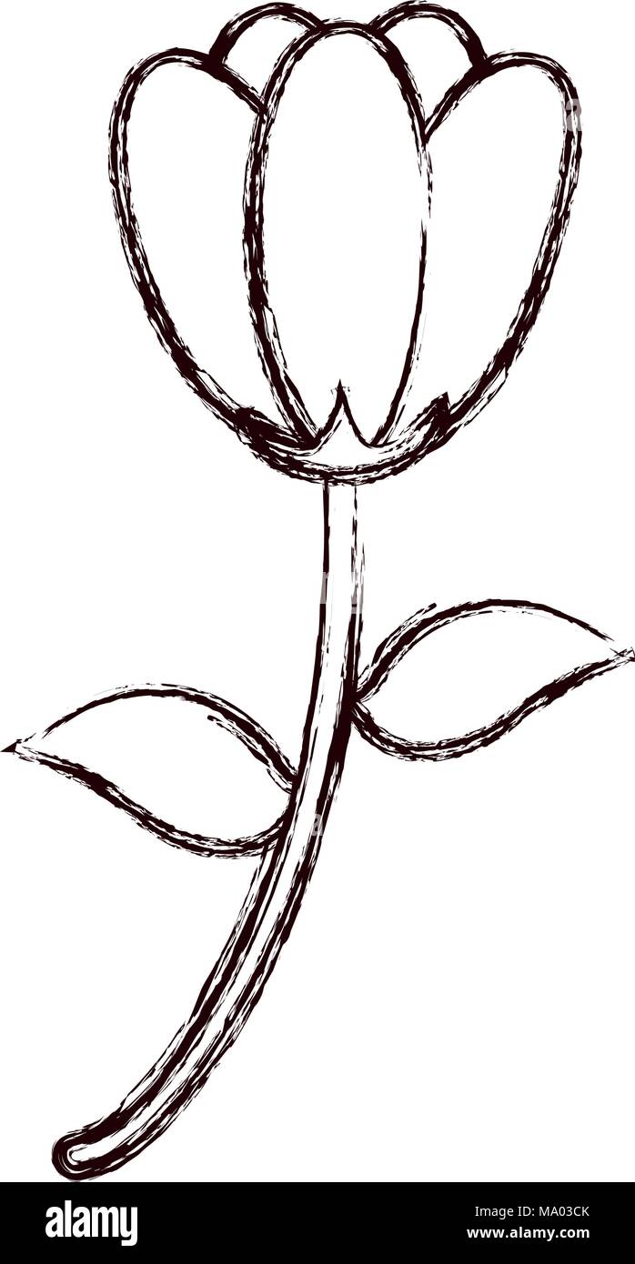 Grunge de belles fleurs avec des pétales et des feuilles Illustration de Vecteur