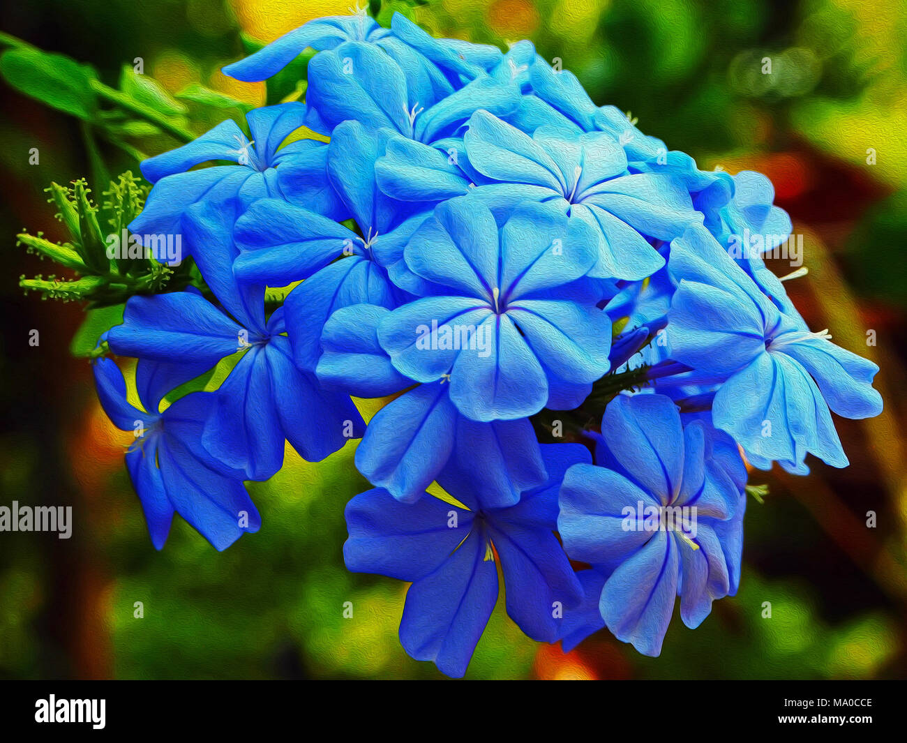 Fleur Bleu Exotique avec la texture de la peinture à l'huile Photo Stock -  Alamy