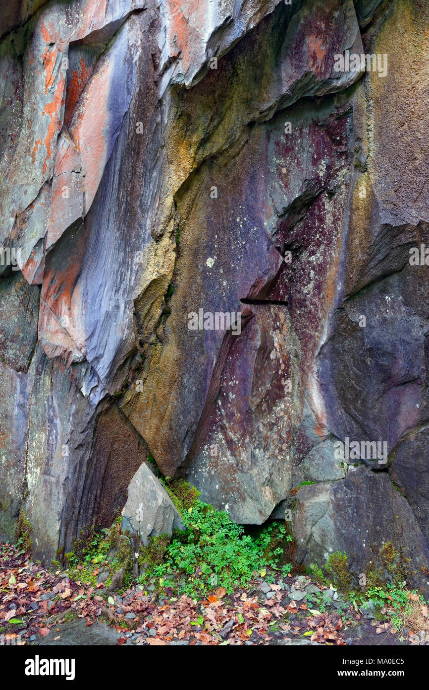 Un gros plan sur un semi abstraite de rock robuste face dans le Lake District. Banque D'Images