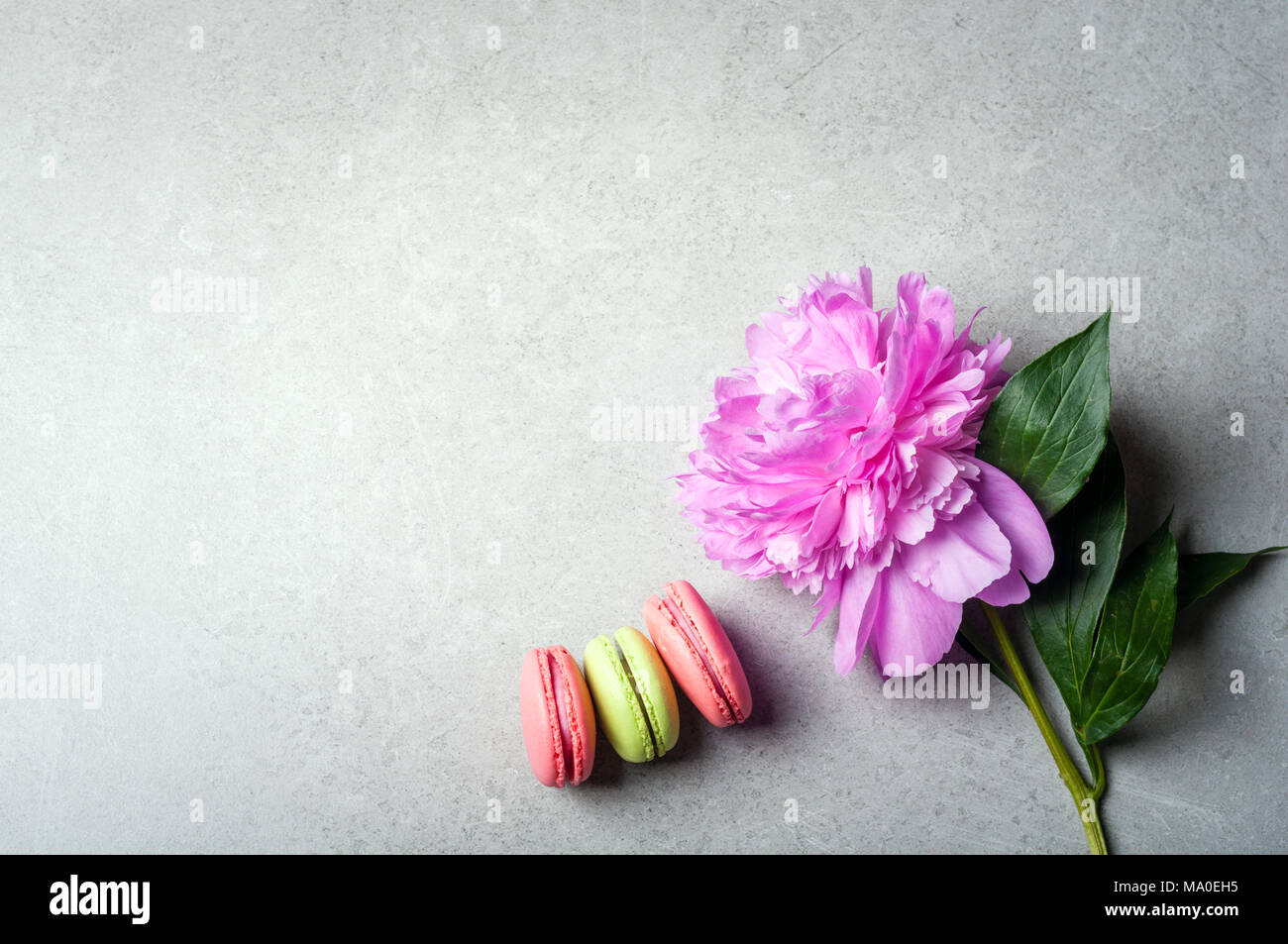 La Pivoine Fleur De Macarons Sur Fond Gris Vacances Joyeux Anniversaire Concept Annivarsary Photo Stock Alamy