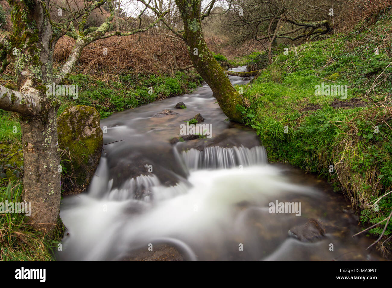 Chute D Eau A Lit Bebe De La Vallee De St Just Cornwall Uk Photo Stock Alamy