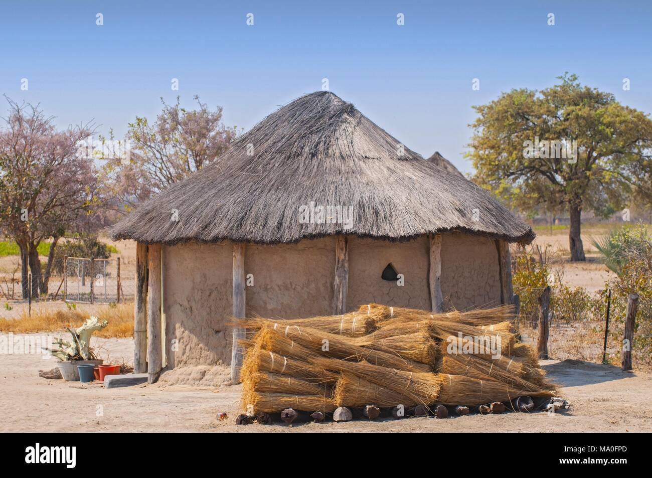 Toit de chaume typique hutte ronde africaine au Botswana. Banque D'Images