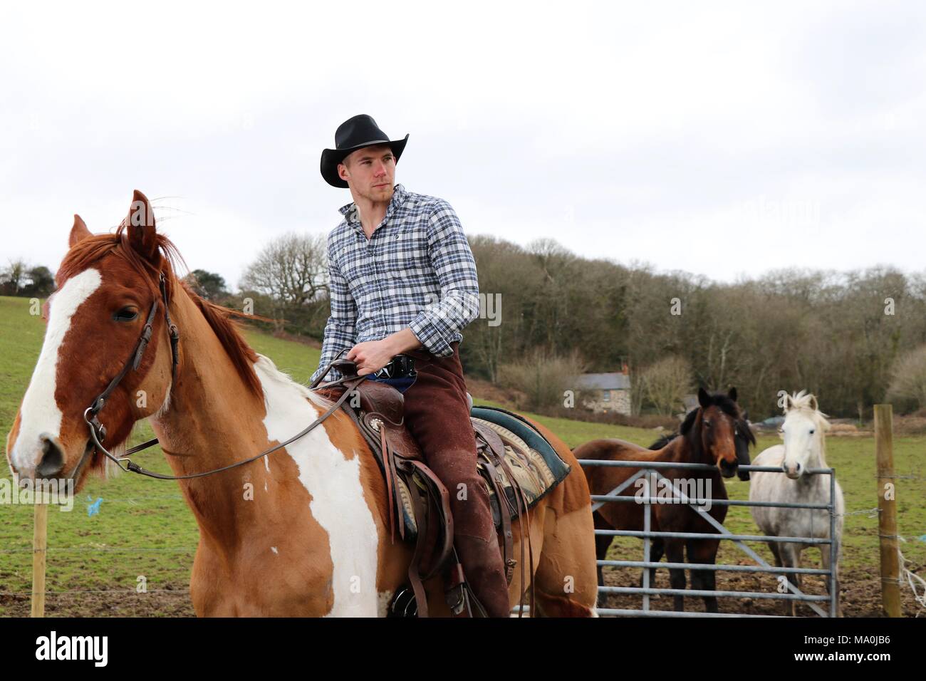 Un cowboy portant une chemise à carreaux et Stetson, équitation étalon avec la porte, chevaux, maison en pierres et colline en arrière-plan. Banque D'Images