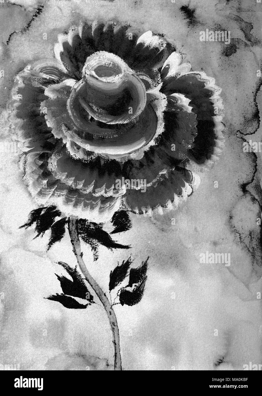 Une grande rose en noir et blanc. La technique du badigeonnage près des bords donne un effet de flou en raison de la modification de la rugosité de surface du papier. Banque D'Images