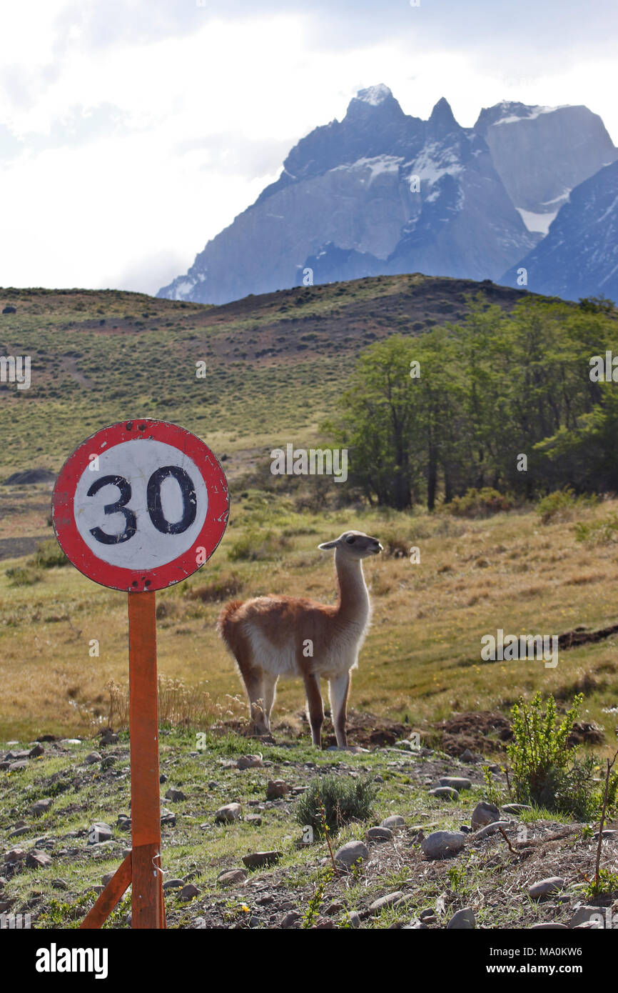 Signe de la limite de vitesse et de Cobourg, Parc National Torres del Paine, Chili Banque D'Images